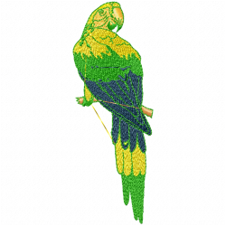 Parrots Embroidery Design 9